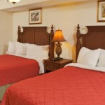 Comfortable bedding!