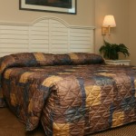 Sleep in comfort.