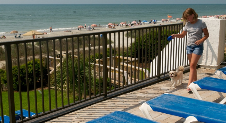 Enjoy a walk with your pet at Ocean Park Resort!