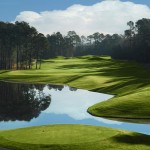 wildwingav2teetogreen