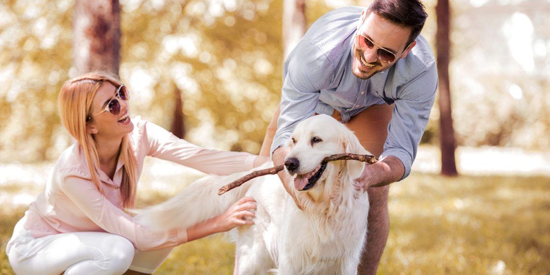 Couple playing with dog in park.