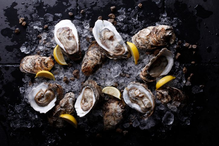 Oysters Oysters