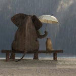 Elephant and dog sitting on the beach in the rain