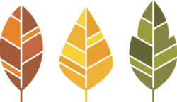 stylized graphic autumn leaves