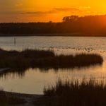 marsh in cherry grove