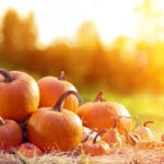 Pile of pumpkins laying on hay