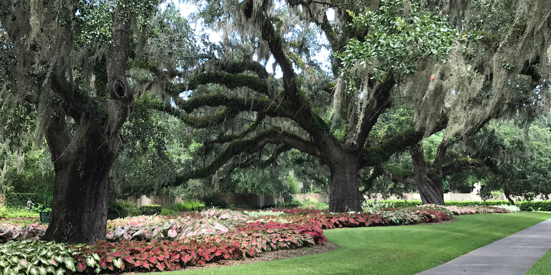 Brookgreen gardens landscape