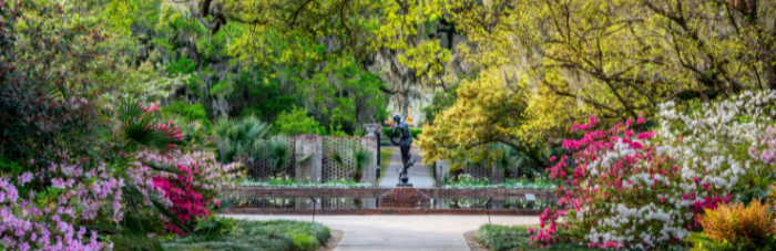 Brookgreen Gardens nin Myrtle Beach 